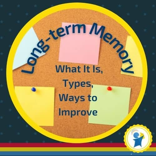 Long Term Memory What It Is Types Ways To Improve Edublox Online Tutor