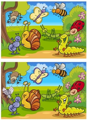 Find 10 Differences Between Two Pictures - Edublox Online Tutor