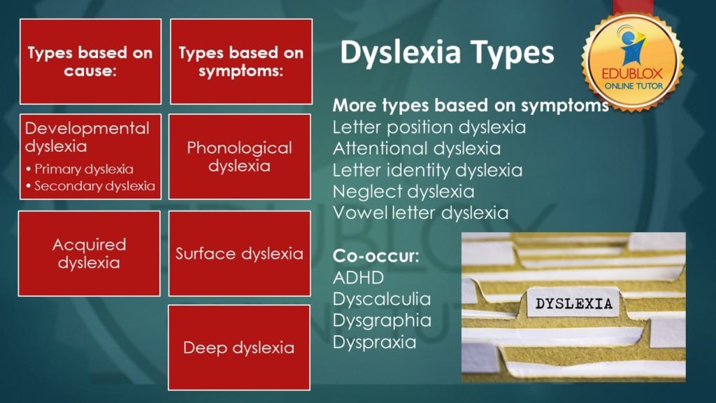 What Are the 12 Types of Dyslexia? Edublox Online Tutor