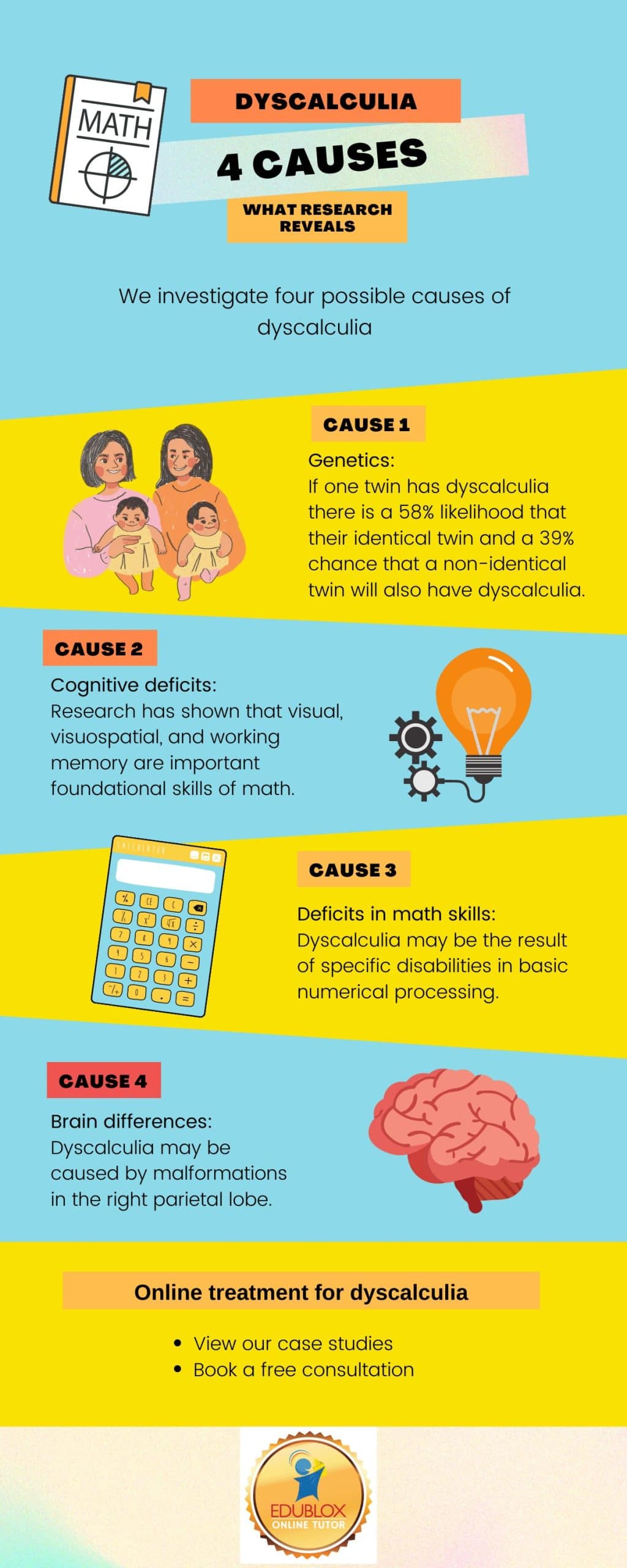 4 Causes of Dyscalculia - Edublox Online Tutor