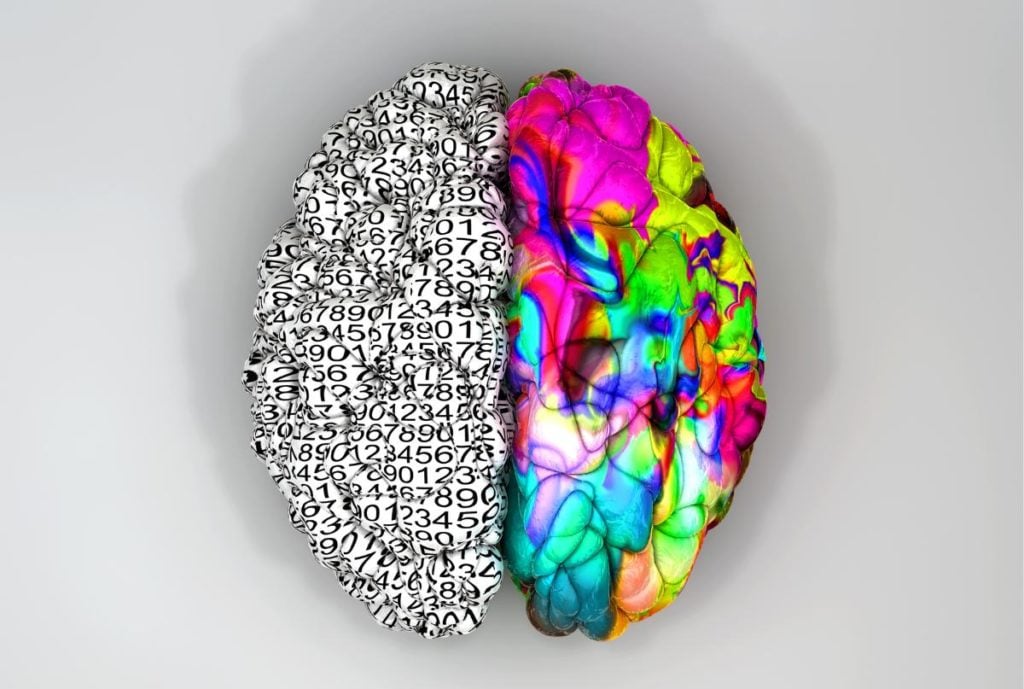 Mind the Test: Brain-Based Tutoring