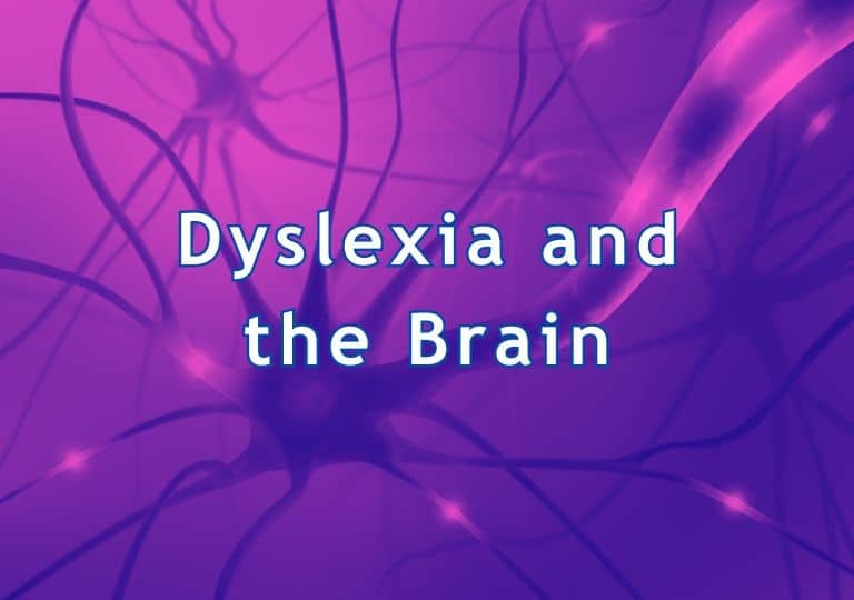 Dyslexia and the brain