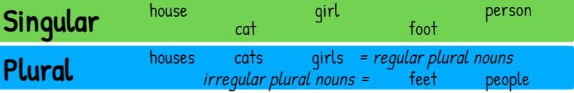 Singular nouns vs. plural nouns